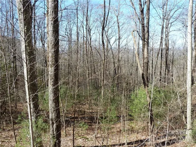 $89,900 | 79 Peppervine Circle, Unit L79, Rosman, NC 28772