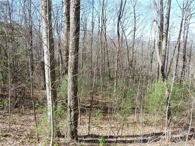 $89,900 | 79 Peppervine Circle, Unit L79, Rosman, NC 28772