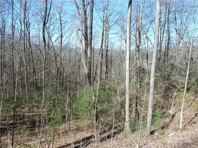 $89,900 | 79 Peppervine Circle, Unit L79, Rosman, NC 28772