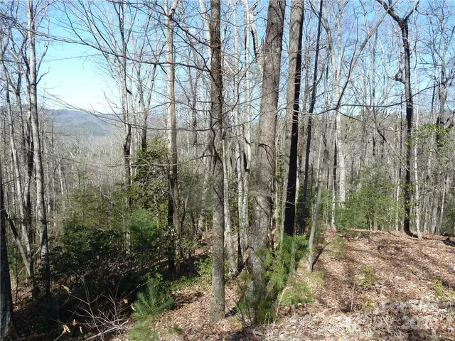 $89,900 | 79 Peppervine Circle, Unit L79, Rosman, NC 28772