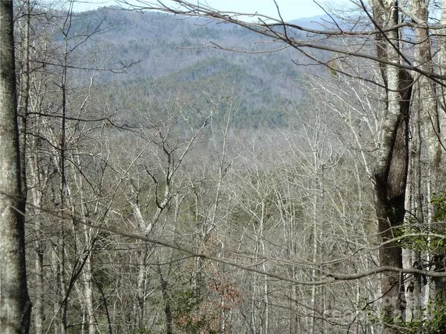 $89,900 | 79 Peppervine Circle, Unit L79, Rosman, NC 28772