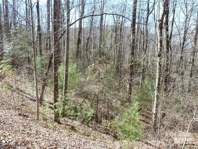 $89,900 | 79 Peppervine Circle, Unit L79, Rosman, NC 28772