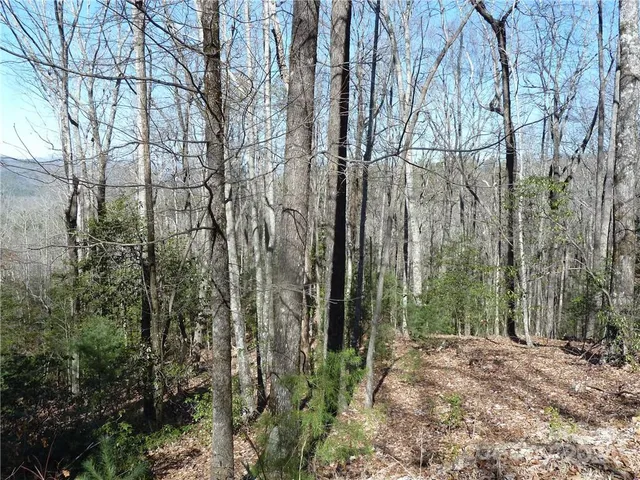 $89,900 | 79 Peppervine Circle, Unit L79, Rosman, NC 28772