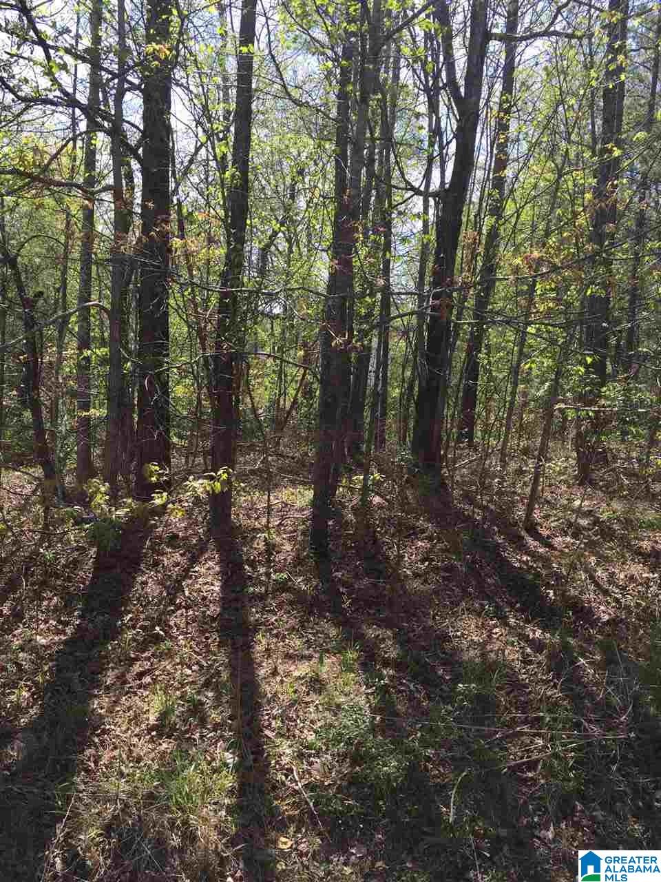 1331 Cedar Creek Road, Unit 4 ACRES Odenville, AL 35120 - Photo 6 of 20