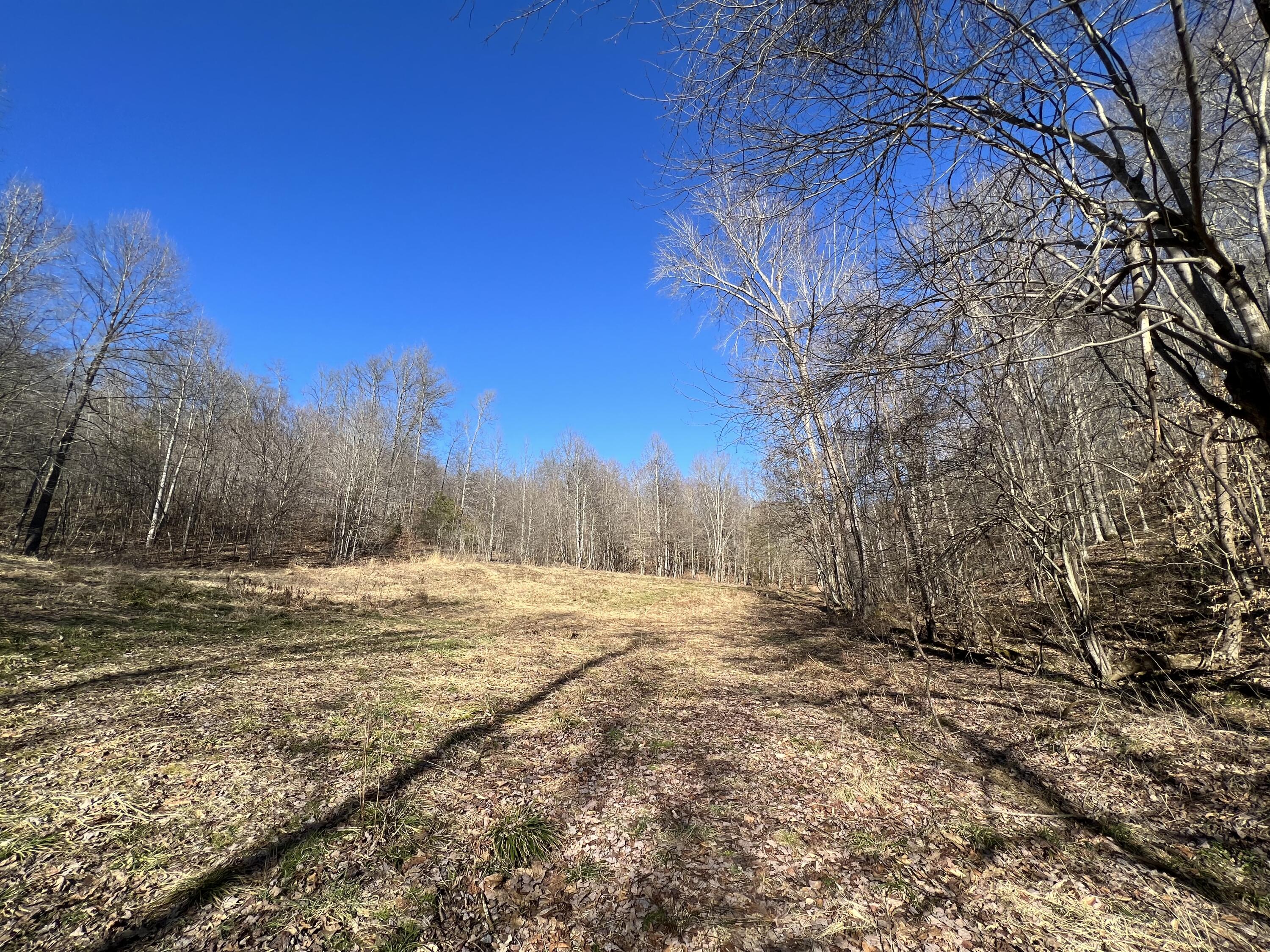 406 Harrod Branch Road London, KY 40741 - Photo 22 of 27 AFC01A1C-1F97-40D6-A4FD-3CF22F813780