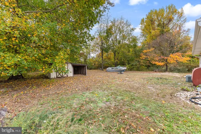 a view of a yard with a tree