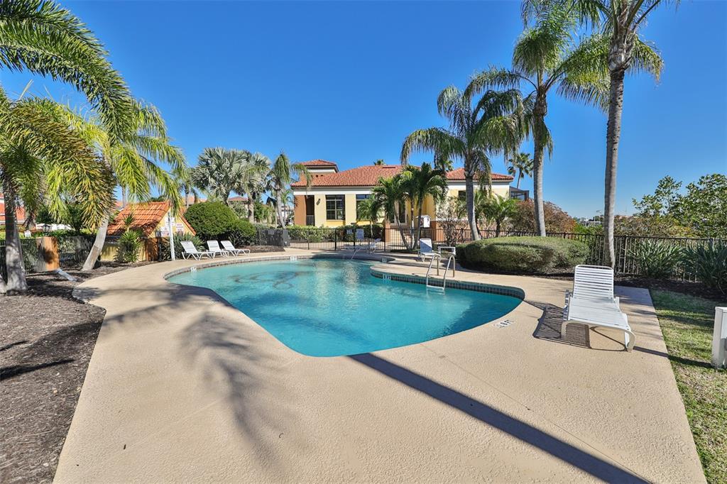 913 Allegro Lane Apollo Beach, FL 33572 - Photo 50 of 57 a view of a swimming pool with a patio