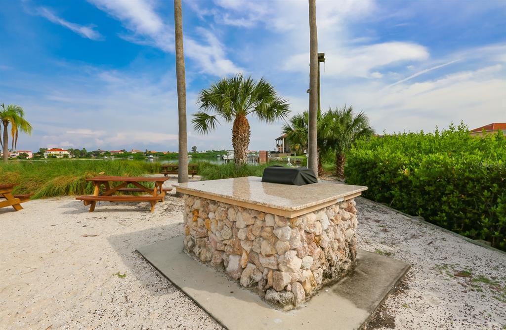 913 Allegro Lane Apollo Beach, FL 33572 - Photo 53 of 57 a view of a backyard