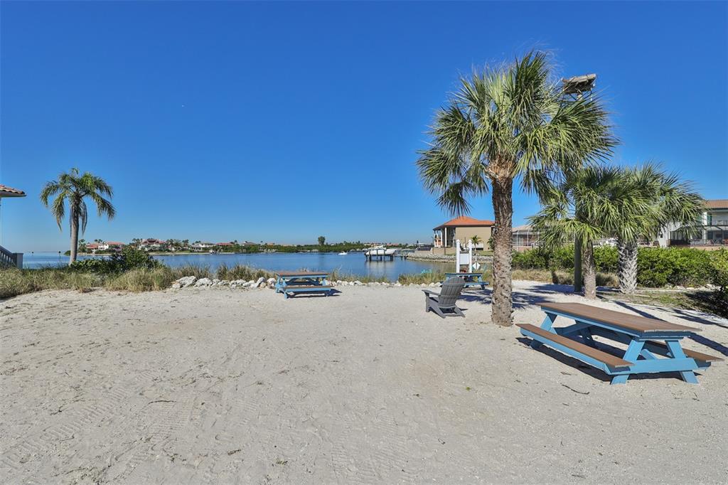 913 Allegro Lane Apollo Beach, FL 33572 - Photo 54 of 57 a view of a beach with palm trees