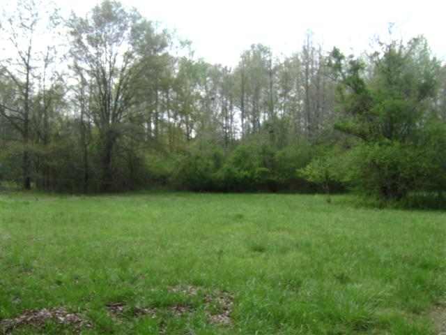 1403 Jones Road Starr, SC 29684 - Photo 4 of 16