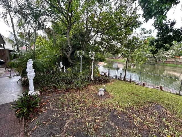 a view of a garden with a tree