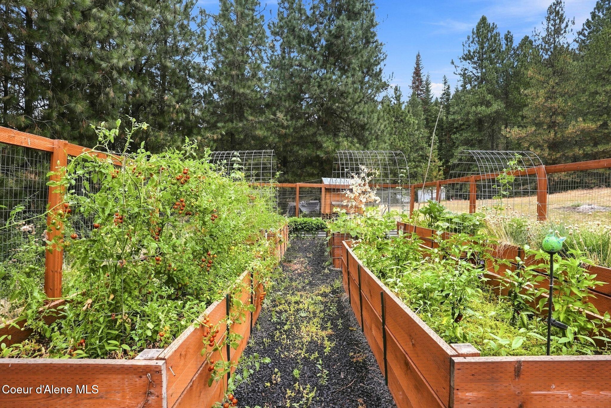 4459 East O'Gara Road Harrison, ID 83833 - Photo 56 of 65 Inside-Media-OGara-Drone-12