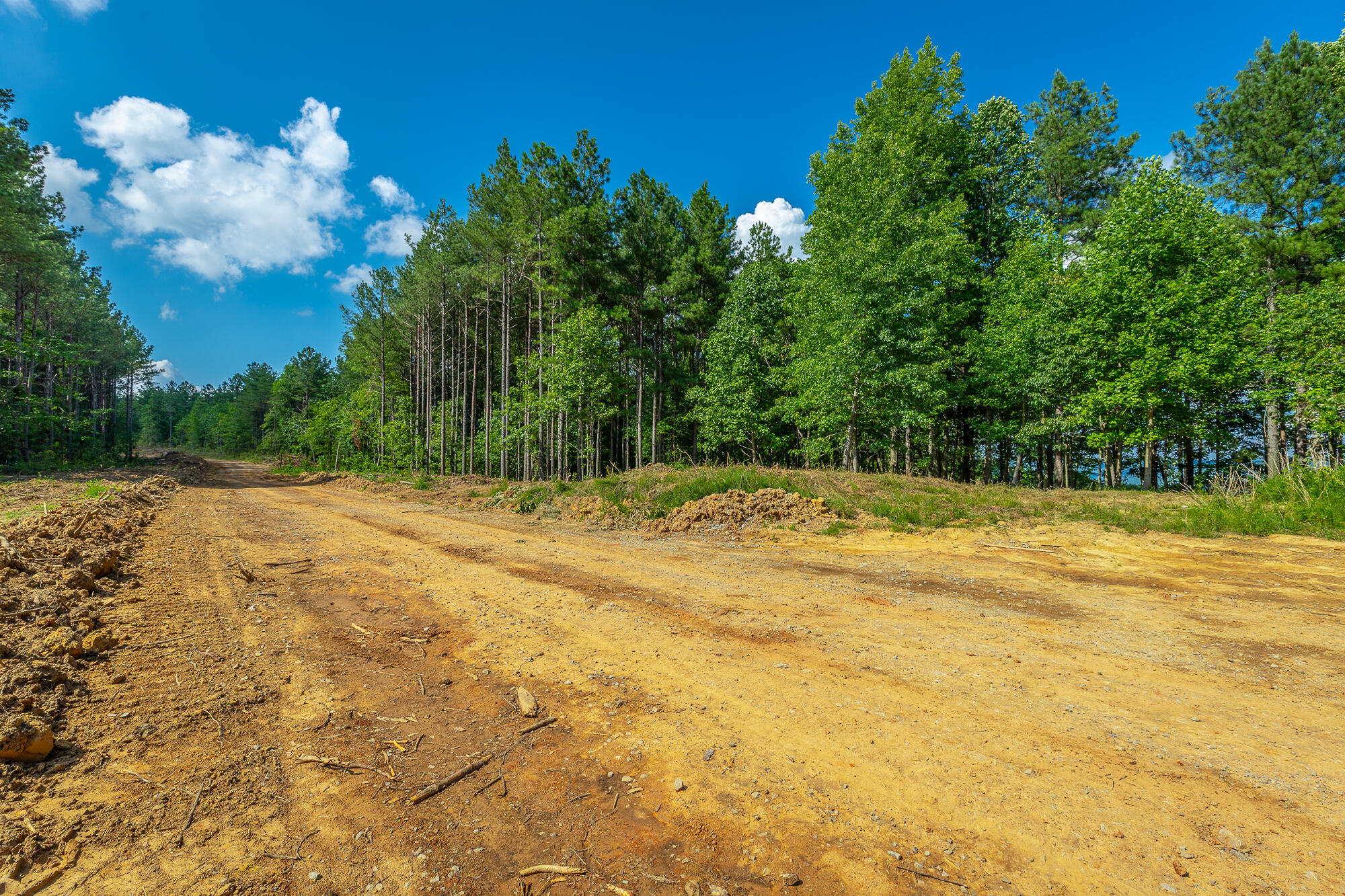 0 High Ground Road, Unit 2222 Guild, TN 37340 - Photo 27 of 110 0 High Ground Road Lot 2222 HD-53