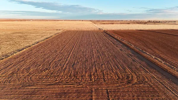 a view of an ocean beach
