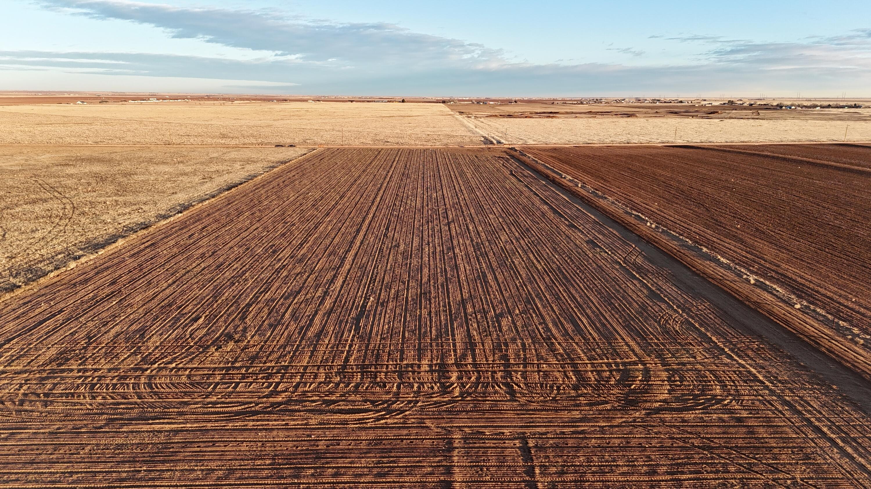 a view of an ocean beach