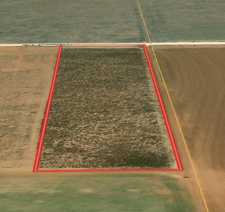 5500 County Road Shallowater, TX 79363 - Photo 7 of 10 a view of wooden floor