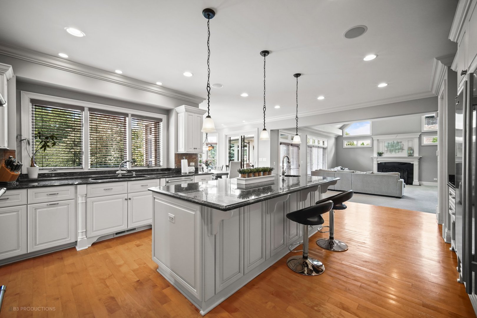 8744 Johnston Road Burr Ridge, IL 60527 - Photo 16 of 92 Gallery Image 16