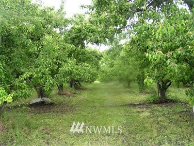 78 State Frontage Road Tonasket, WA 98855 - Photo 1 of 1 Gallery Image 1