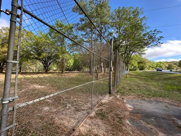 a view of a forest filled with trees