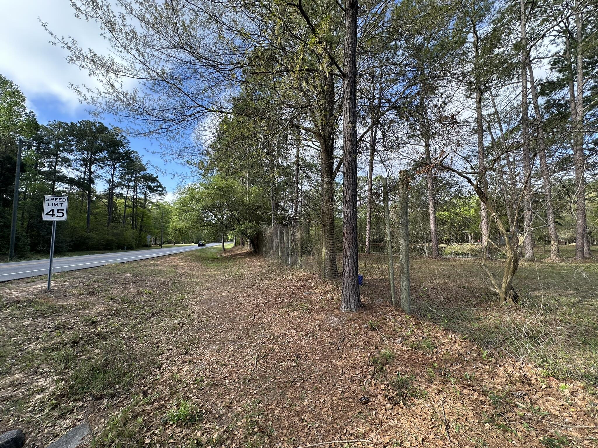 3421 Airport Road Crestview, FL 32539 - Photo 12 of 54 a view of a forest filled with trees