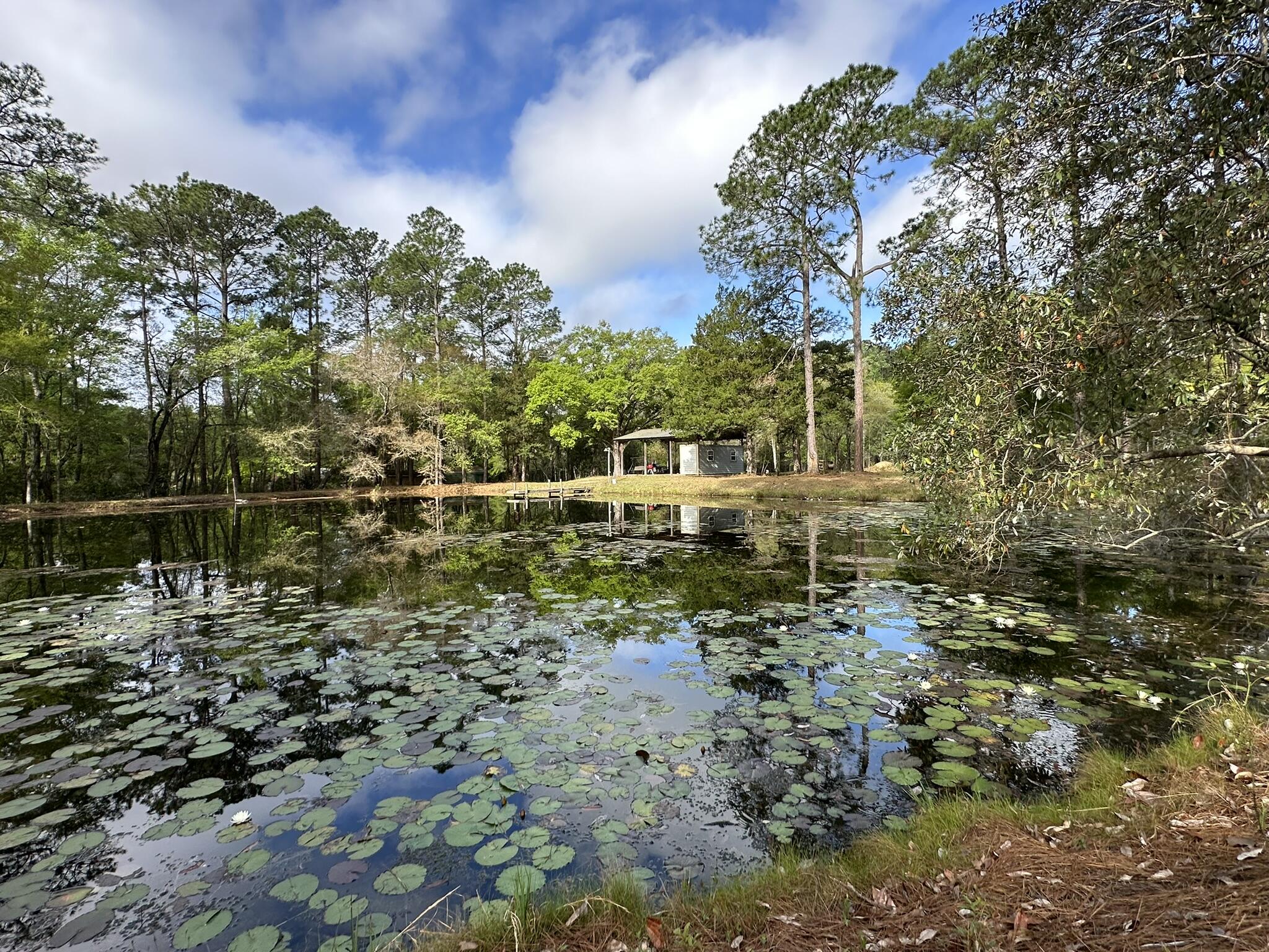 3421 Airport Road Crestview, FL 32539 - Photo 13 of 54 a backyard of a house with lots of green space
