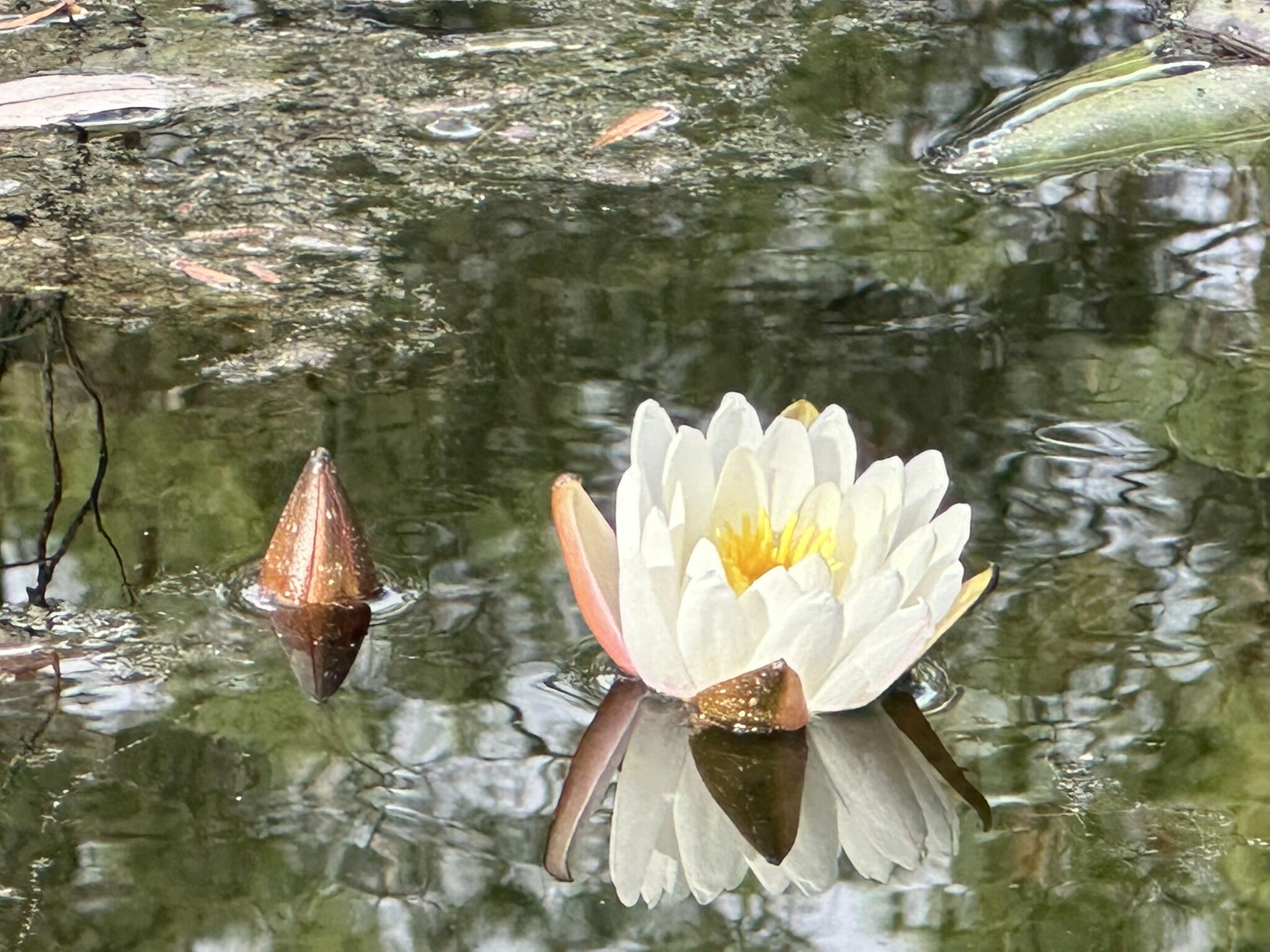 3421 Airport Road Crestview, FL 32539 - Photo 14 of 54 a view of roof deck
