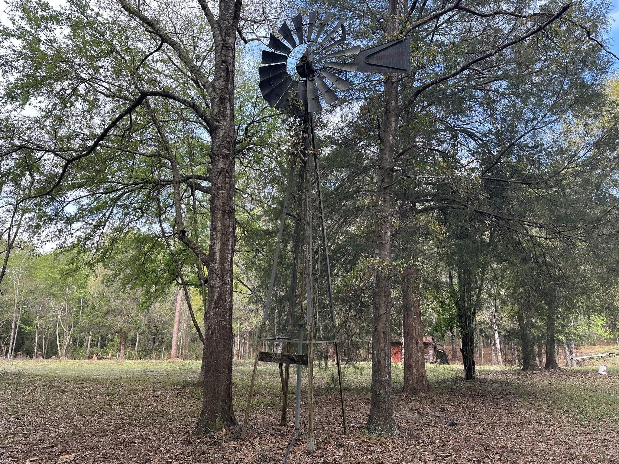 3421 Airport Road Crestview, FL 32539 - Photo 20 of 54 a view of outdoor space with trees