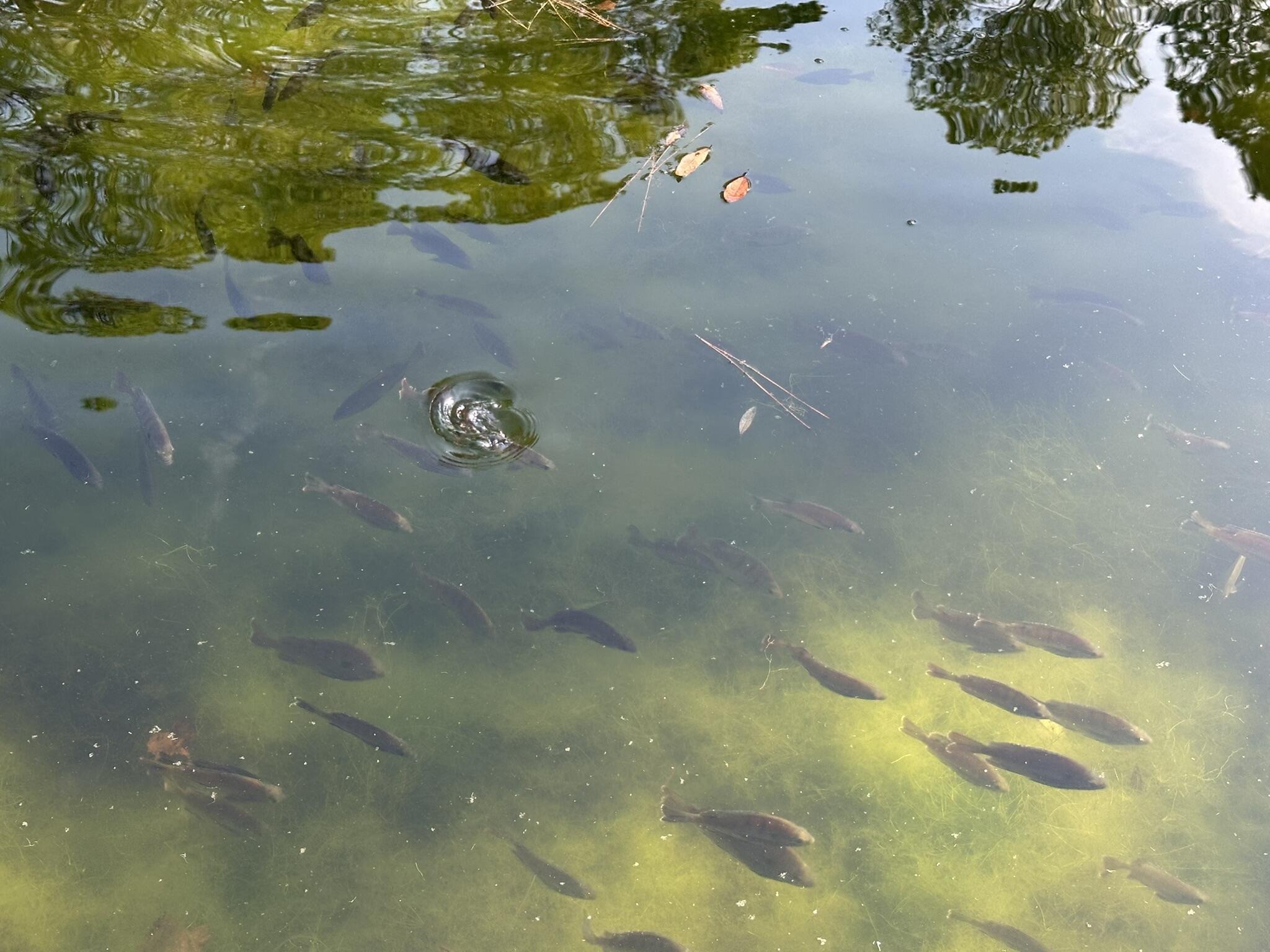 3421 Airport Road Crestview, FL 32539 - Photo 2 of 54 a view of natural light