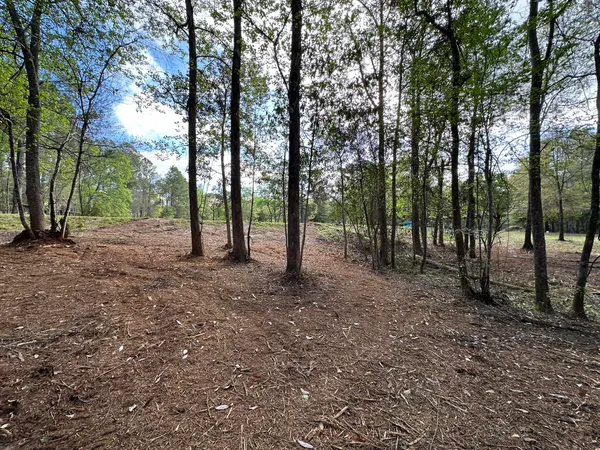a view of a lake in between two and trees