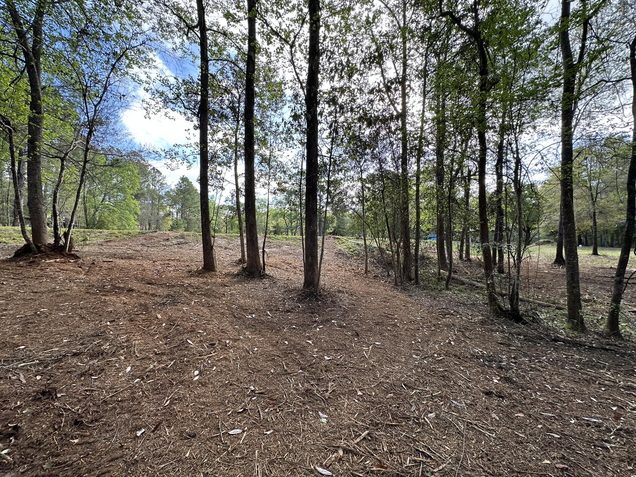 3421 Airport Road Crestview, FL 32539 - Photo 26 of 54 a view of a forest with trees in the background