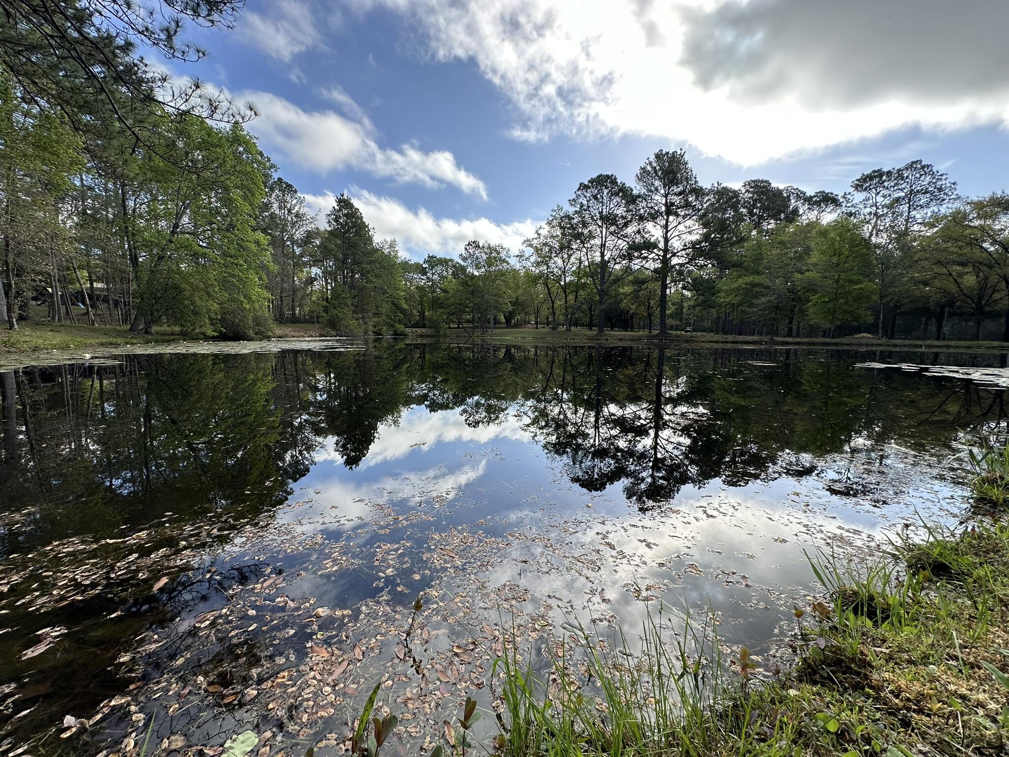 3421 Airport Road Crestview, FL 32539 - Photo 27 of 54 a view of a lake in between two and trees