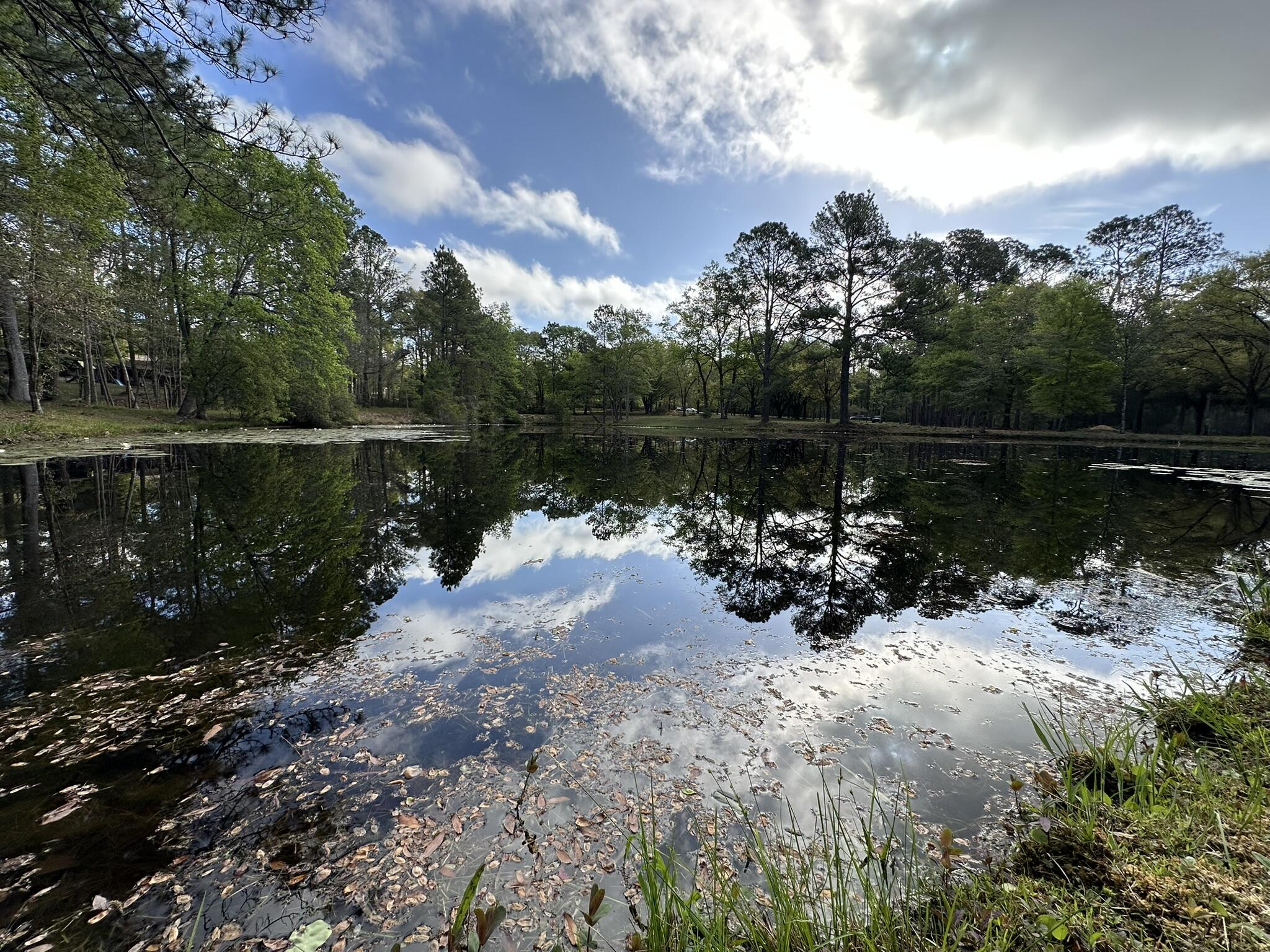 3421 Airport Road Crestview, FL 32539 - Photo 28 of 54 a view of a lake in between two and trees
