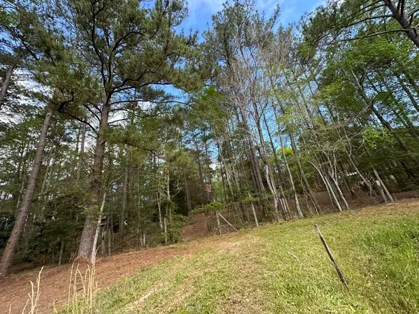 a view of a lake with a yard