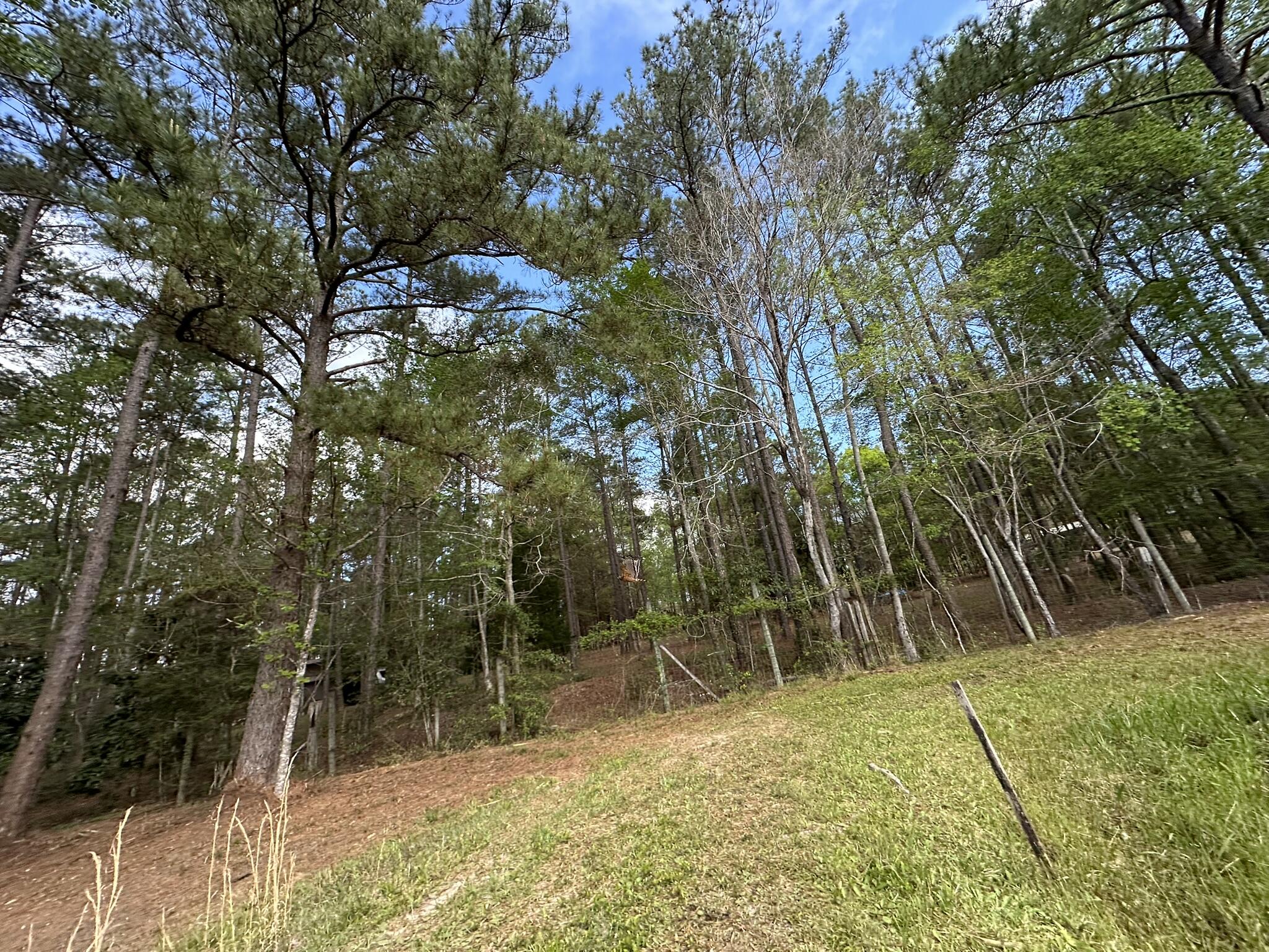 3421 Airport Road Crestview, FL 32539 - Photo 29 of 54 a view of backyard