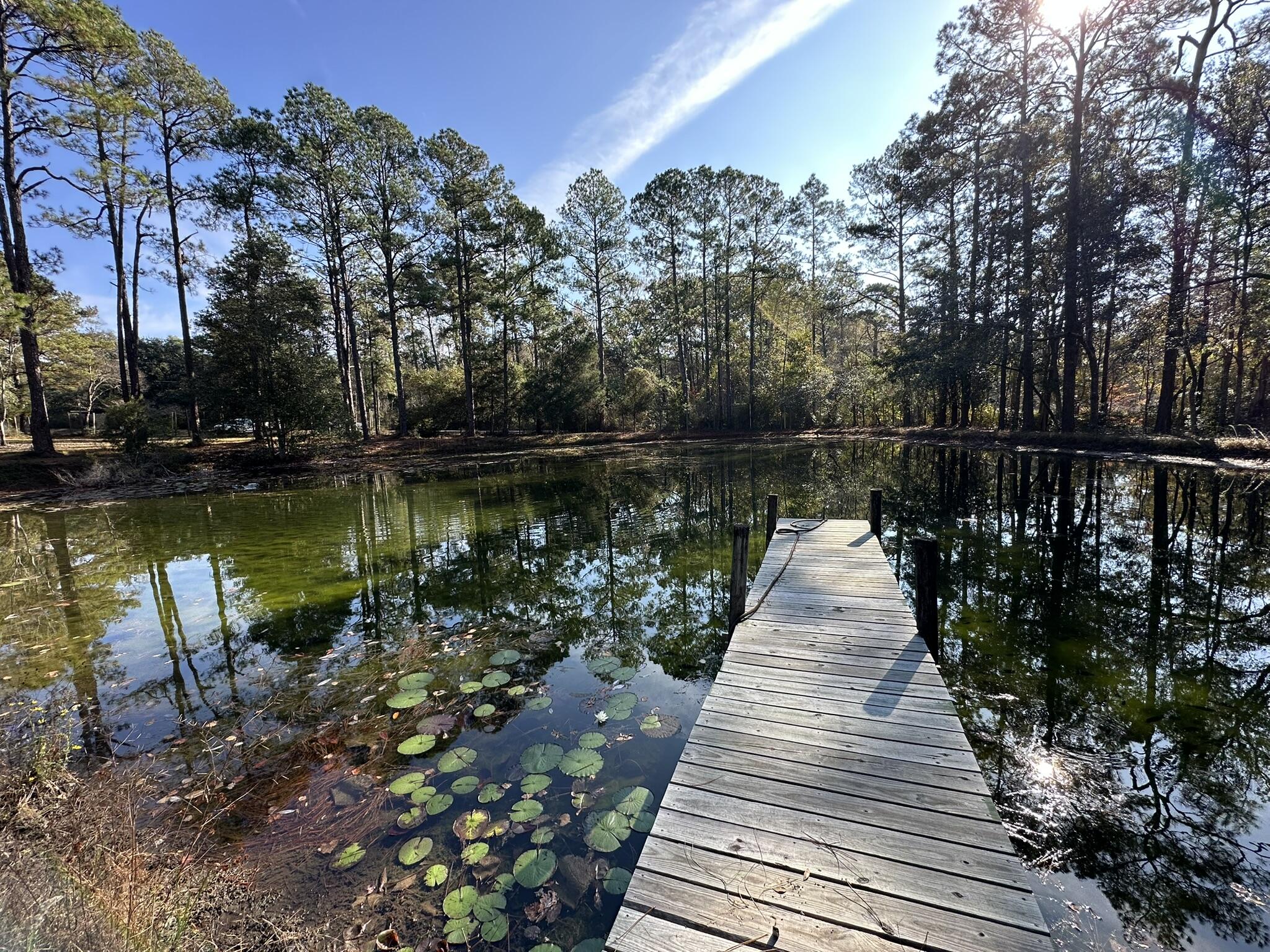 3421 Airport Road Crestview, FL 32539 - Photo 3 of 54 a view of a lake with a large trees