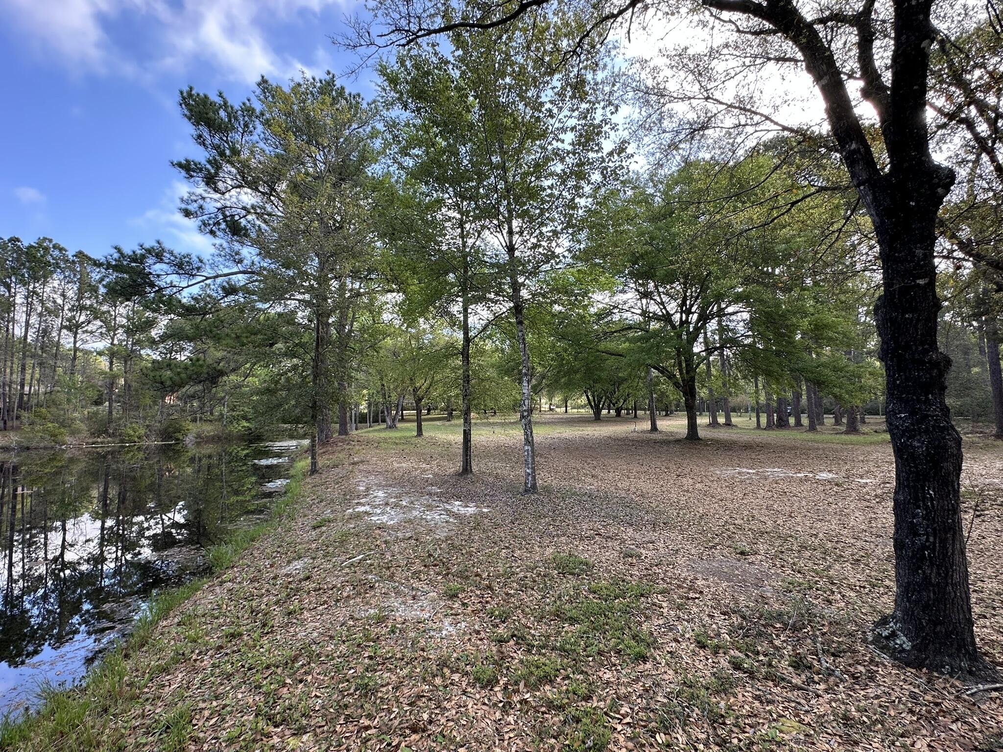 3421 Airport Road Crestview, FL 32539 - Photo 32 of 54 a view of a tree in the middle of a yard