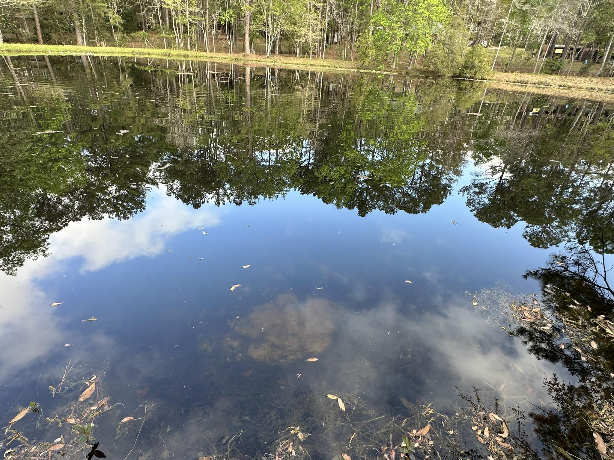 3421 Airport Road Crestview, FL 32539 - Photo 33 of 54 a view of lake