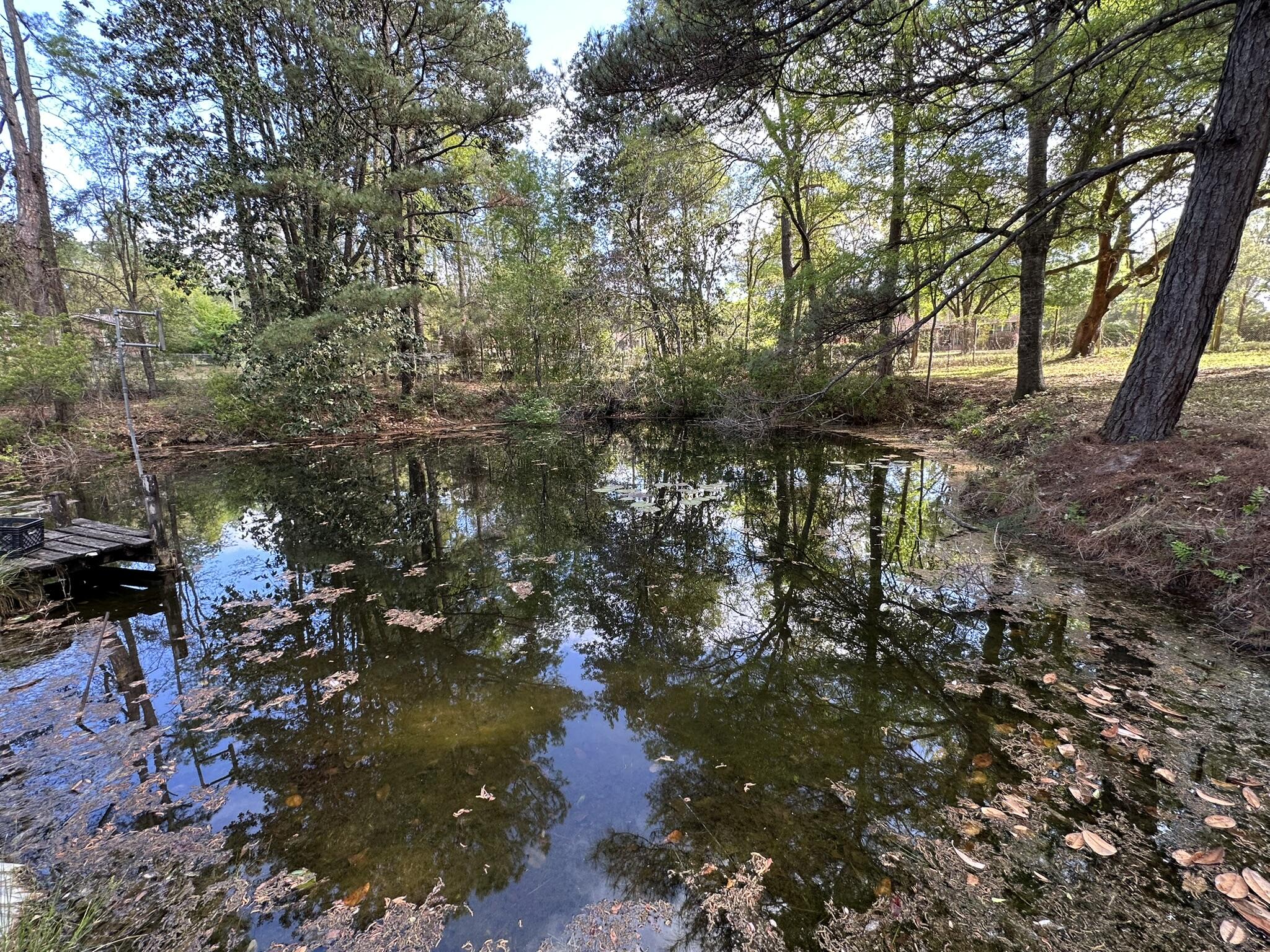 3421 Airport Road Crestview, FL 32539 - Photo 34 of 54 a backyard of a house with lots of green space