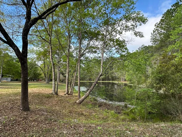 a view of a yard with a tree