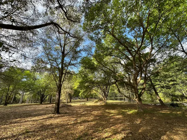 a view of outdoor space with trees
