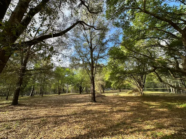 a big yard with trees in the background
