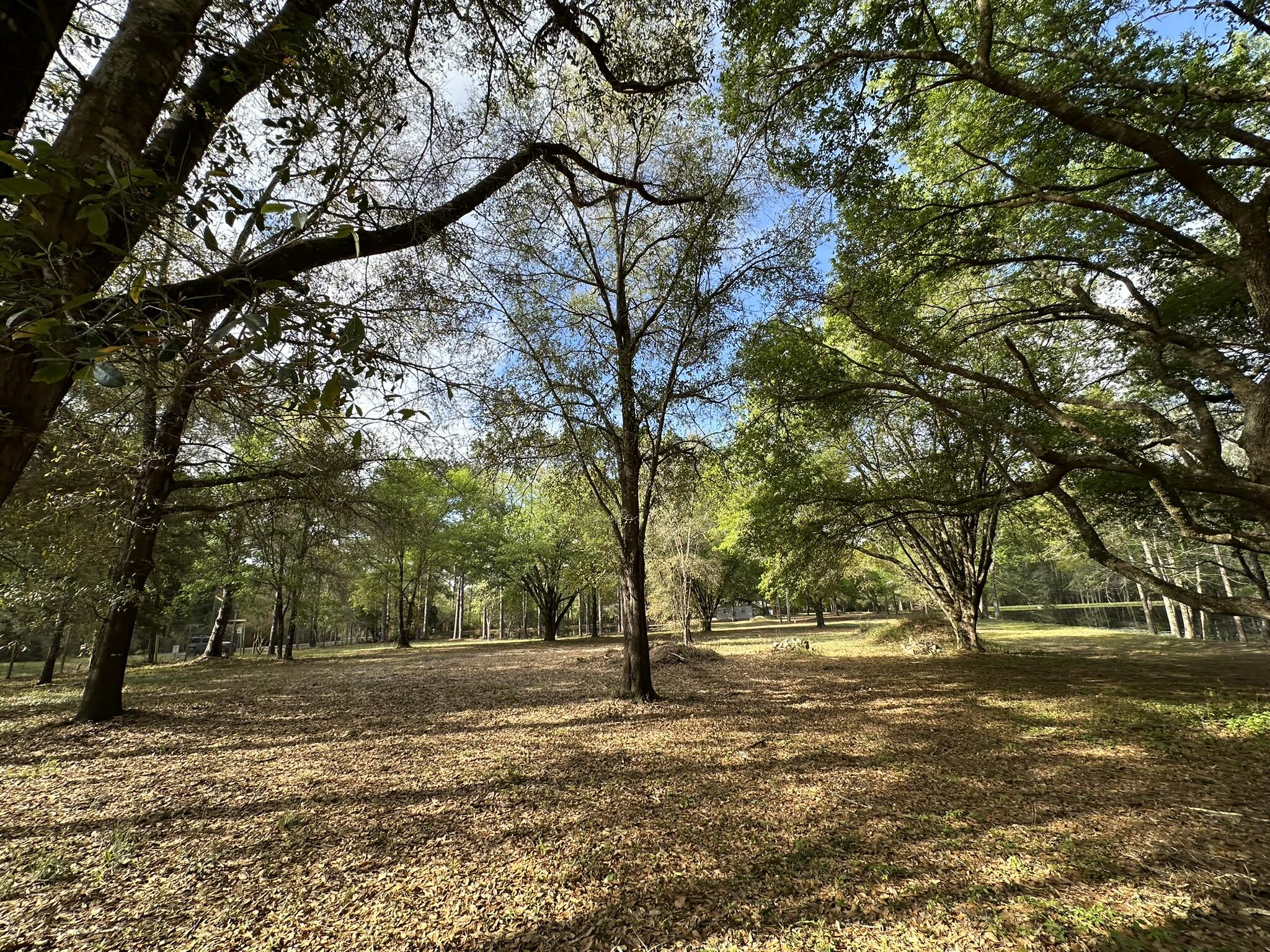 3421 Airport Road Crestview, FL 32539 - Photo 40 of 54 a view of road with trees