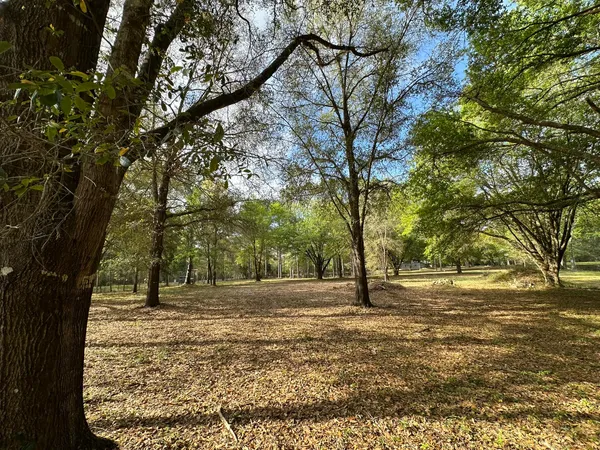 a view of a house with a trees