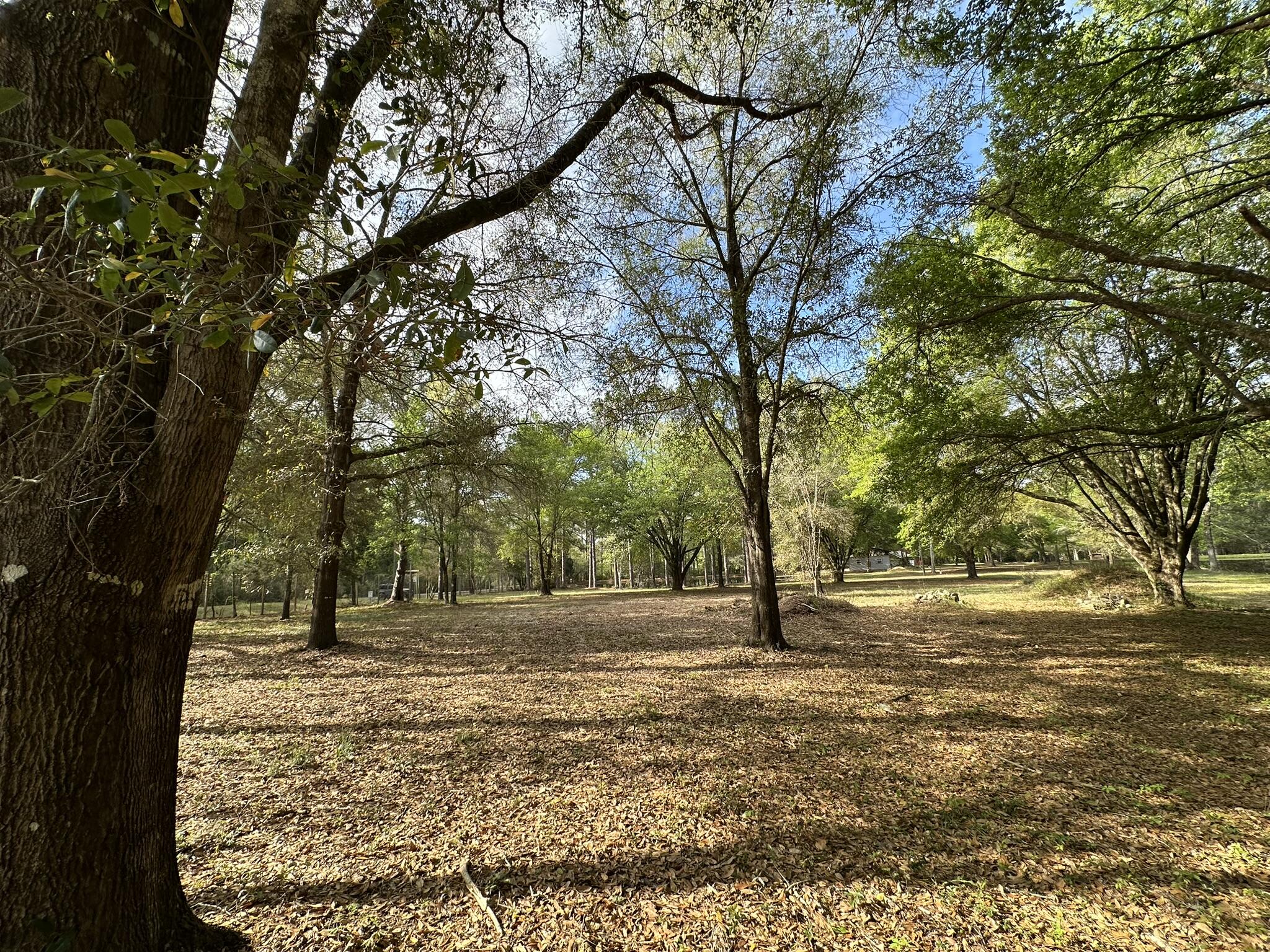 3421 Airport Road Crestview, FL 32539 - Photo 41 of 54 a view of outdoor space with trees