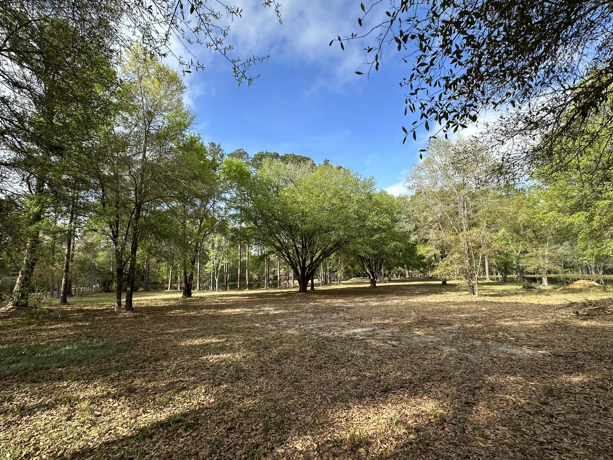 3421 Airport Road Crestview, FL 32539 - Photo 42 of 54 a big yard with trees in the background