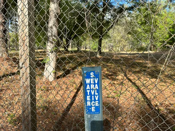 a view of a yard with a trees