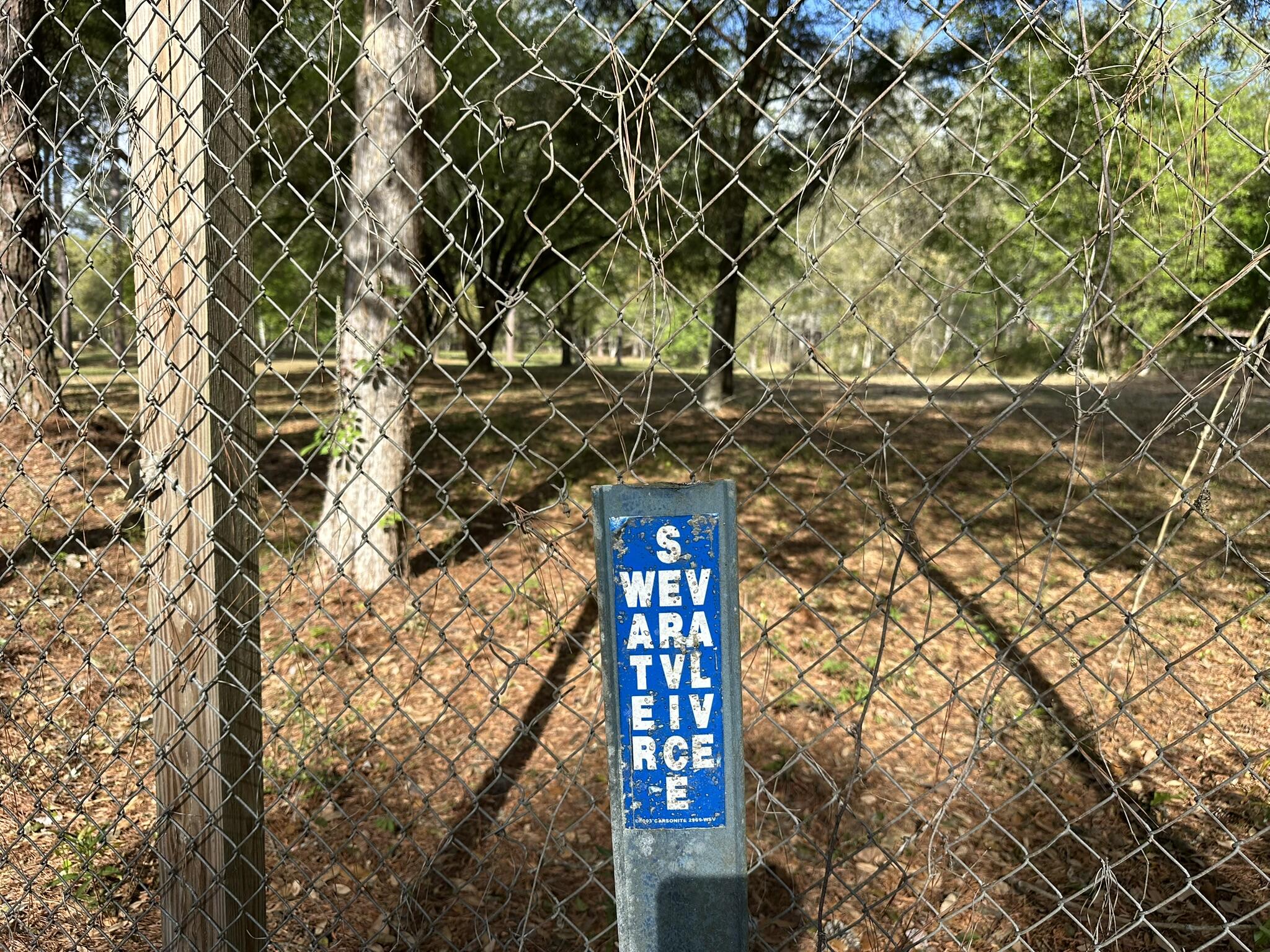 3421 Airport Road Crestview, FL 32539 - Photo 46 of 54 a picture of a tree