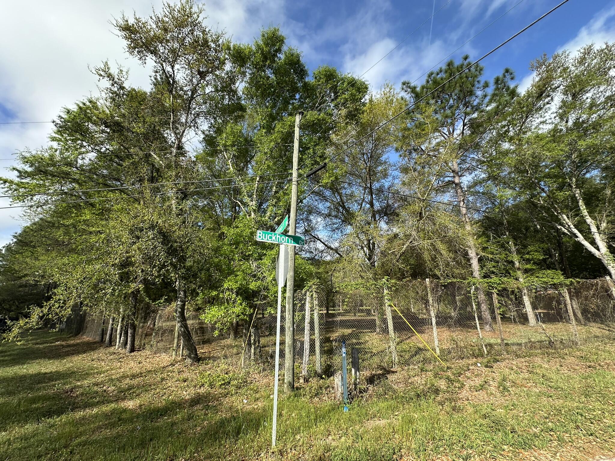 3421 Airport Road Crestview, FL 32539 - Photo 48 of 54 a view of a yard with plants and large trees