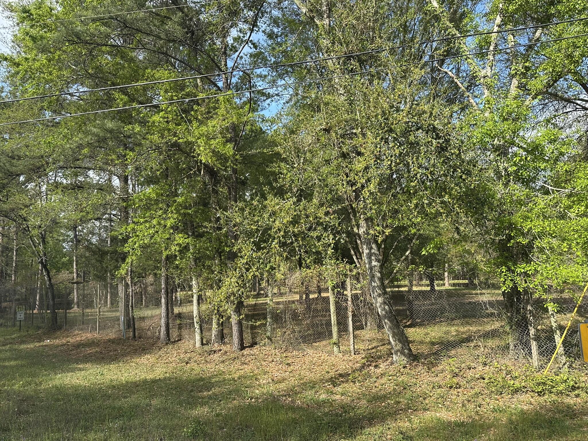 3421 Airport Road Crestview, FL 32539 - Photo 52 of 54 a backyard of a house with lots of green space