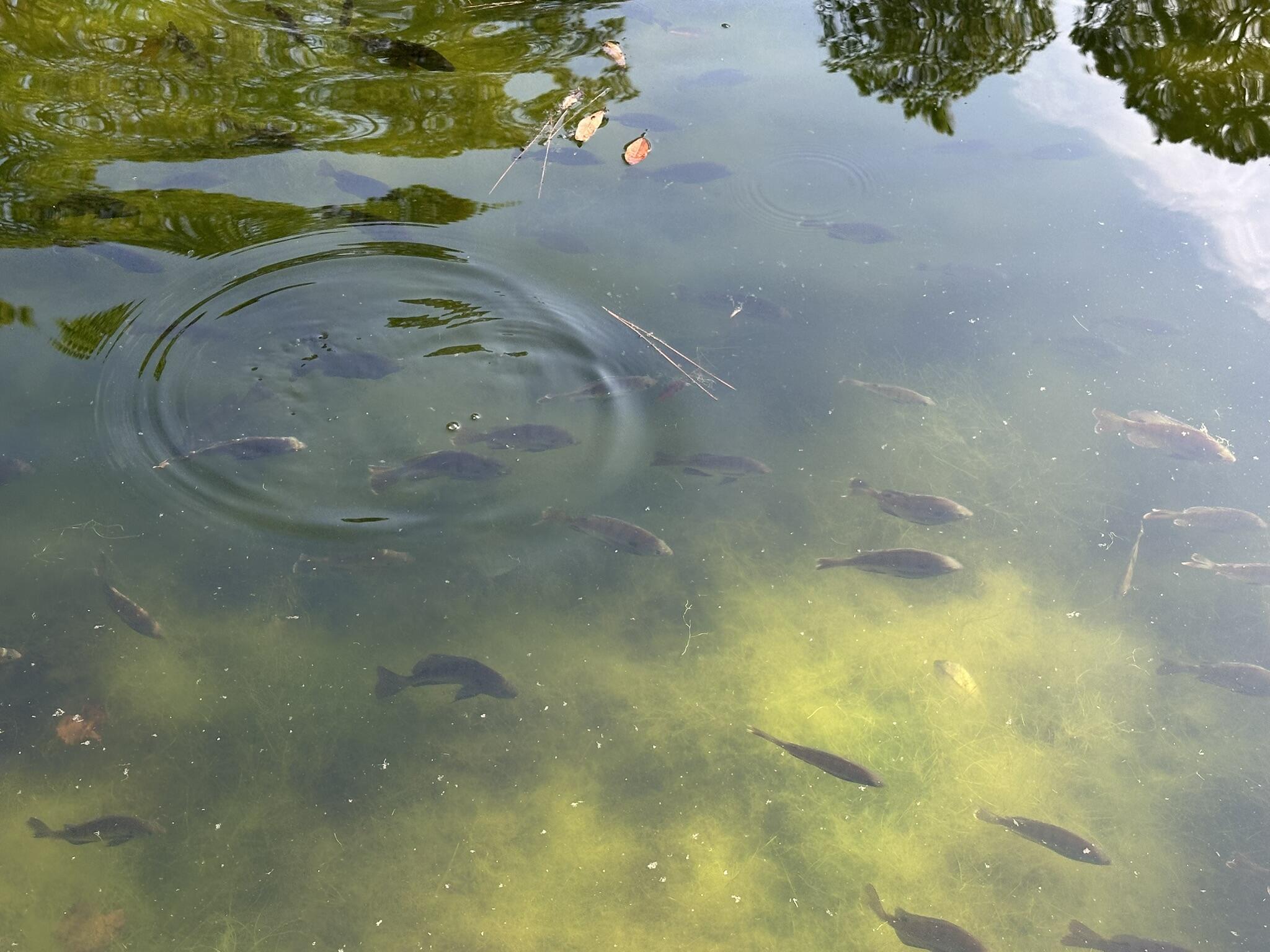 3421 Airport Road Crestview, FL 32539 - Photo 10 of 54 a bathroom with a sink